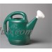 PLASTIC WATERING CAN   
